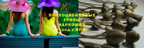 гидра Алзамай