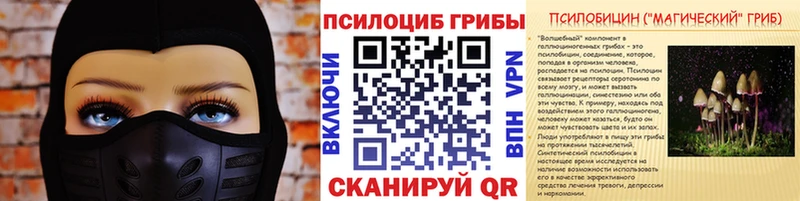 купить закладку  Сосновка  Псилоцибиновые грибы MAGIC MUSHROOMS 